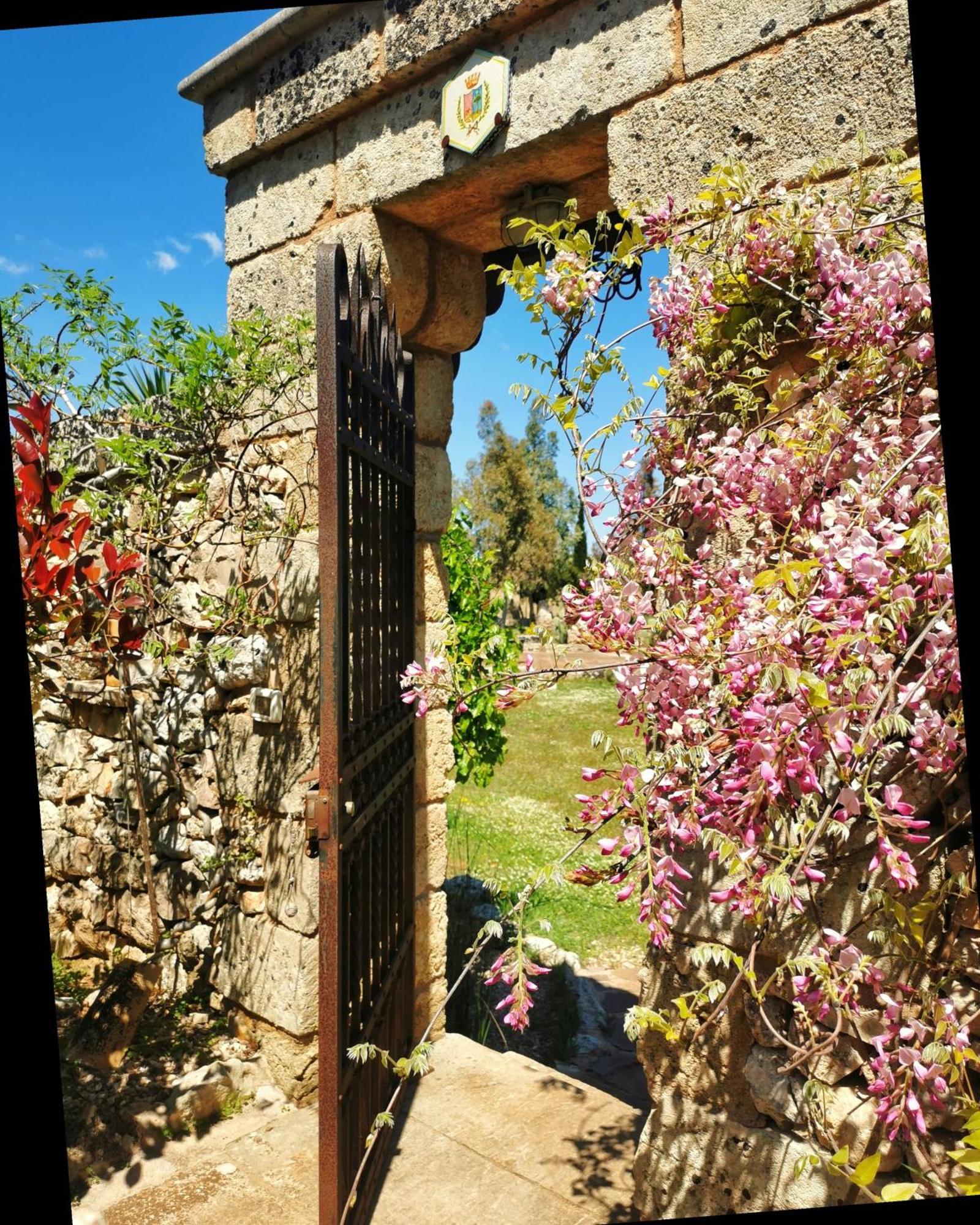 B&B Borgo del Gallo Tricase Exterior foto